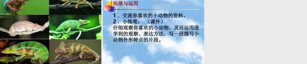 《变色龙》教学课件