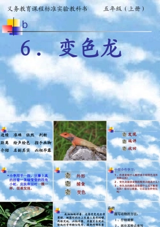 《变色龙》教学课件