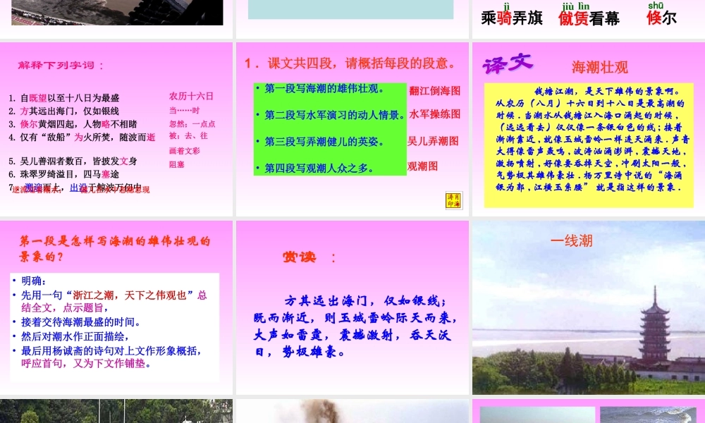 八年级语文第二十八课《观潮》课件人教版