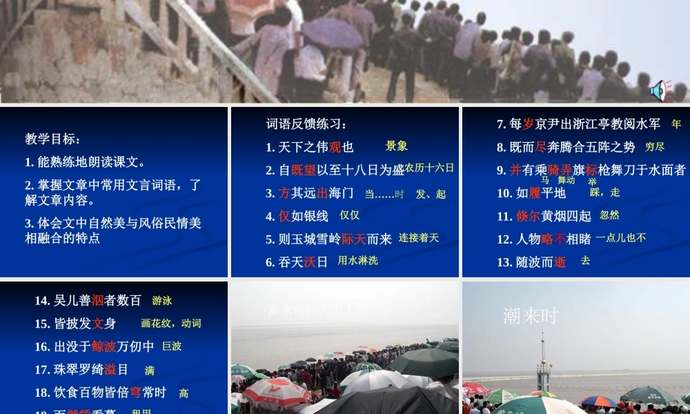 八年级语文观潮