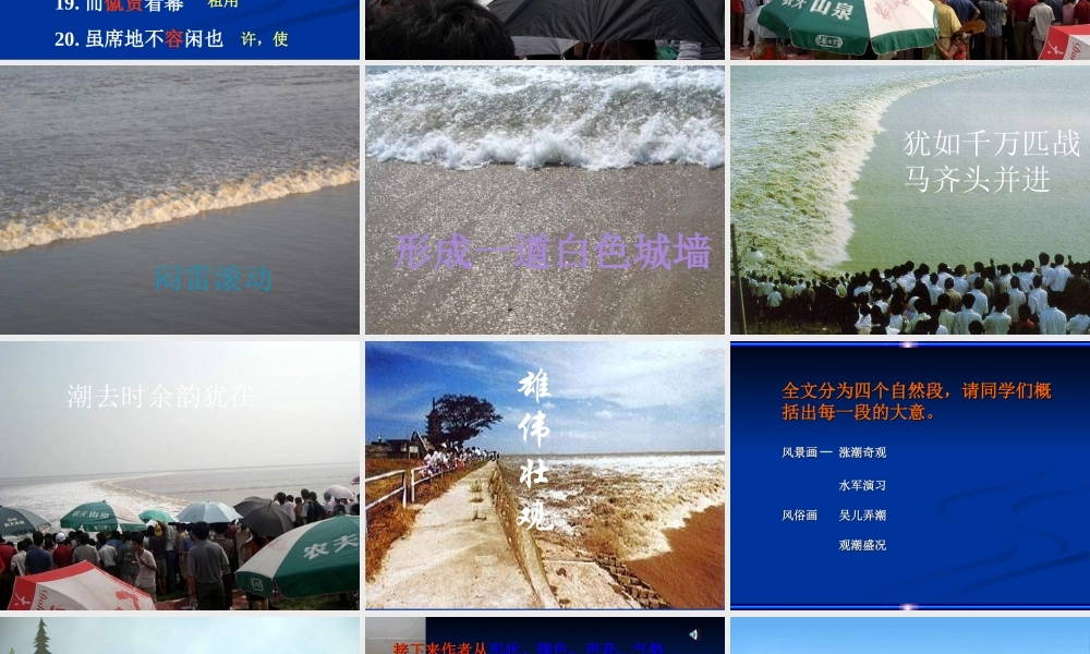 八年级语文观潮