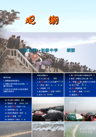 八年级语文观潮