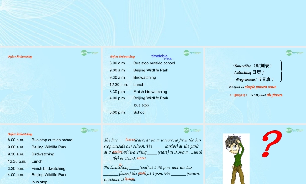 八年级英语上册(Unit 5 Birdwatchers)Grammar课件 牛津译林版 课件