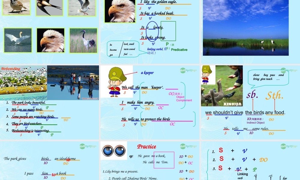 八年级英语上册(Unit 5 Birdwatchers)Grammar课件 牛津译林版 课件