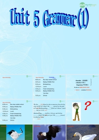 八年级英语上册(Unit 5 Birdwatchers)Grammar课件 牛津译林版 课件
