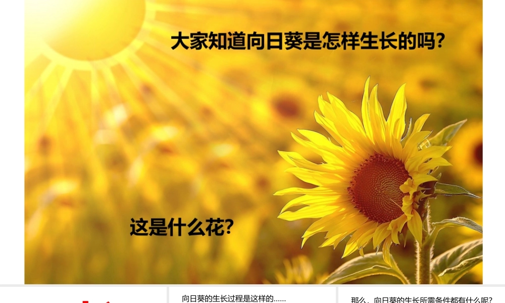 小学美术一年级《长呀长》课件