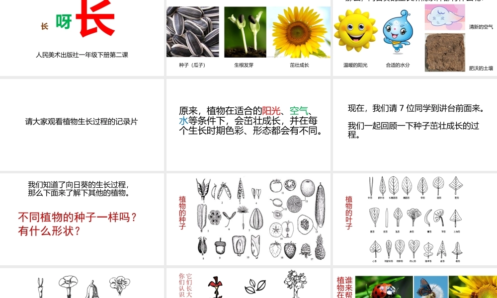 小学美术一年级《长呀长》课件