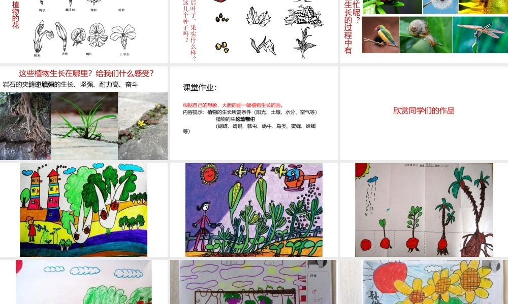 小学美术一年级《长呀长》课件