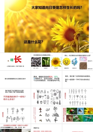 小学美术一年级《长呀长》课件