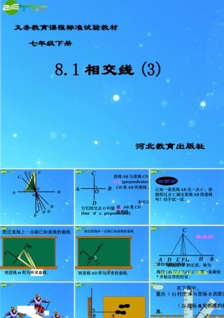 七年级数学下册 8.1相交线(3)课件 冀教版 课件