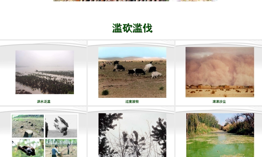 七年级生物下册 人类对生态环境的破坏1课件 人教新课标版 课件