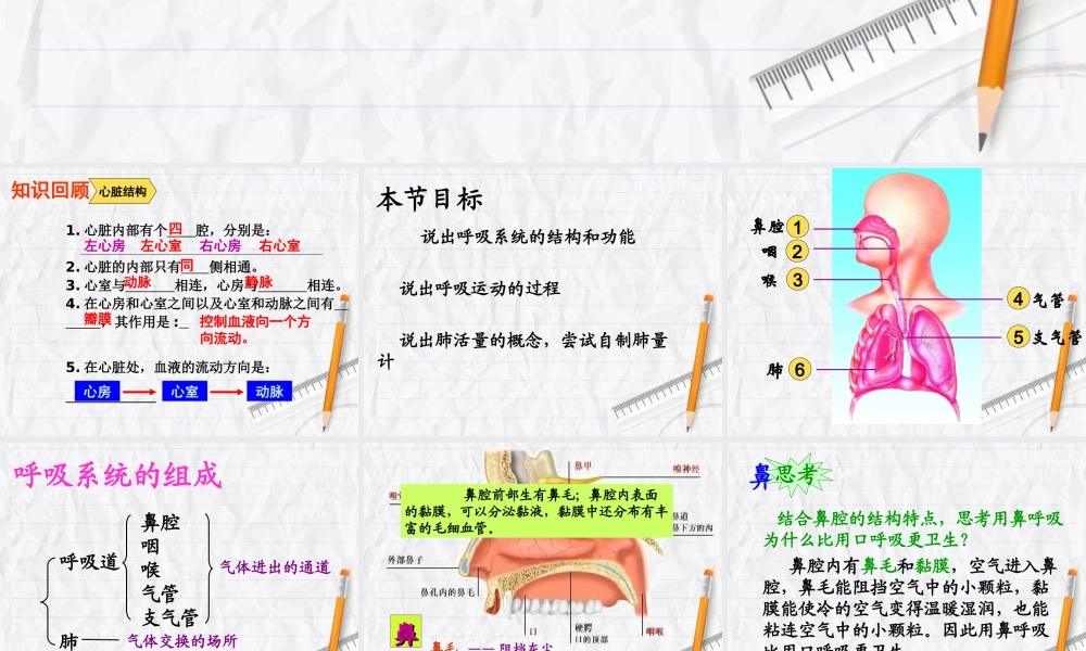 人体和外界环境的气体交换 (3)