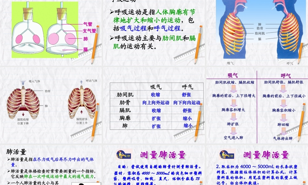人体和外界环境的气体交换 (3)