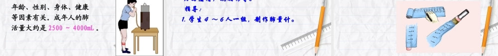 人体和外界环境的气体交换 (3)