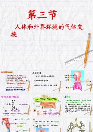人体和外界环境的气体交换 (3)
