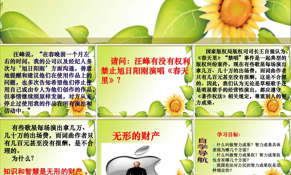 无形的财产公开课课件