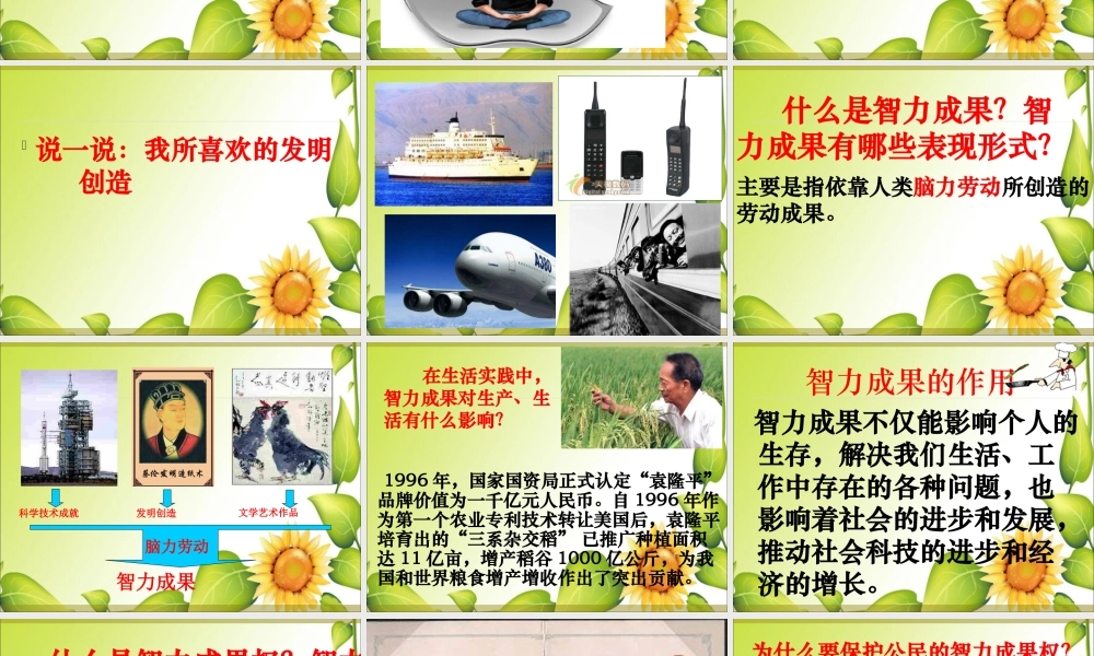 无形的财产公开课课件