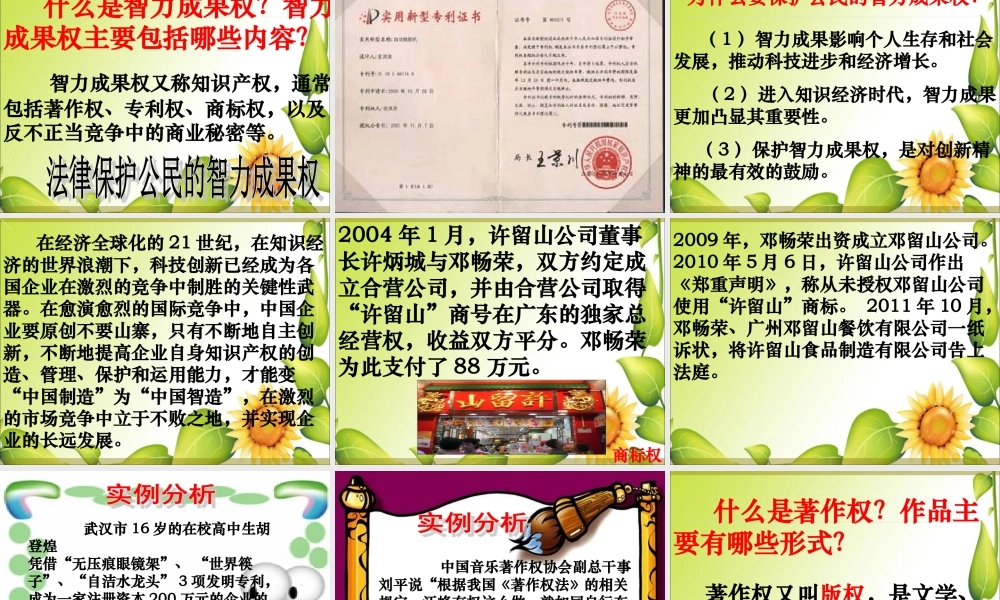 无形的财产公开课课件