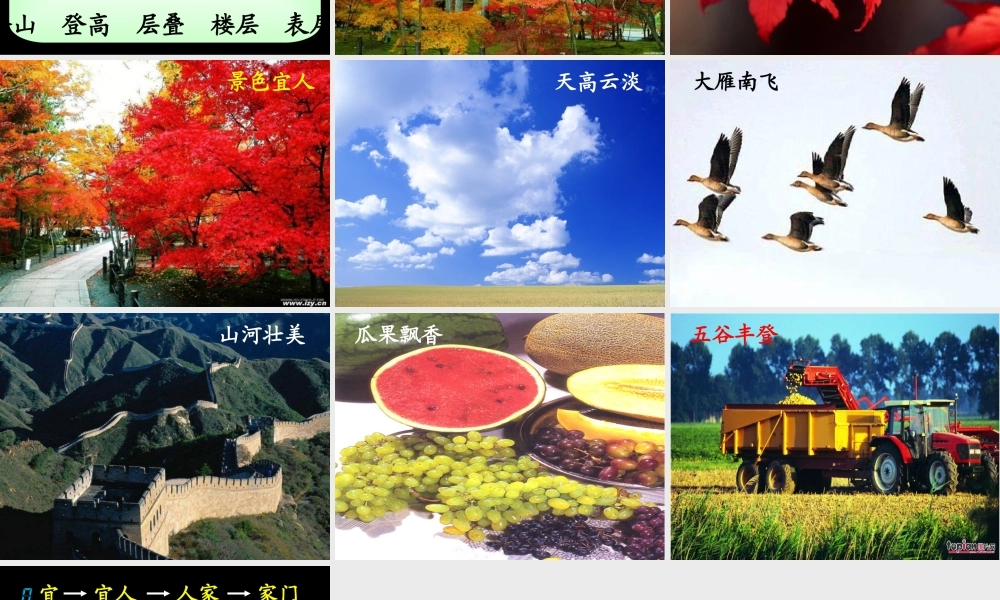 人教版小学语文二年级上册识字1