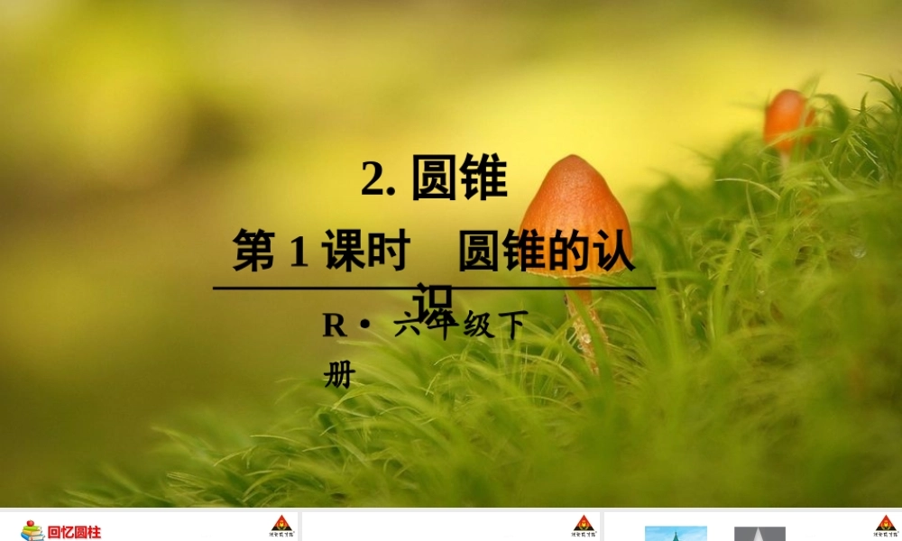 信息窗一(圆柱和圆锥的认识)