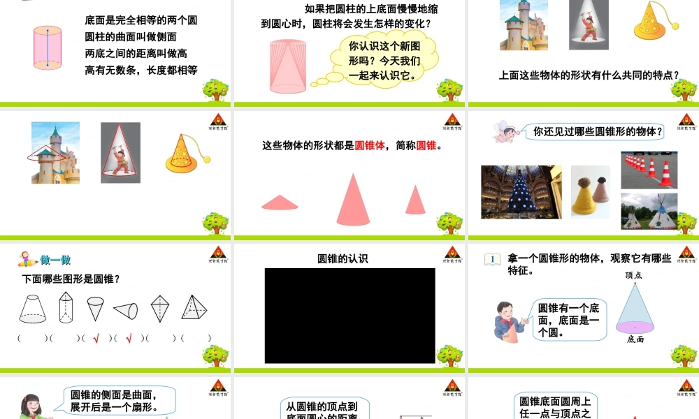 信息窗一(圆柱和圆锥的认识)