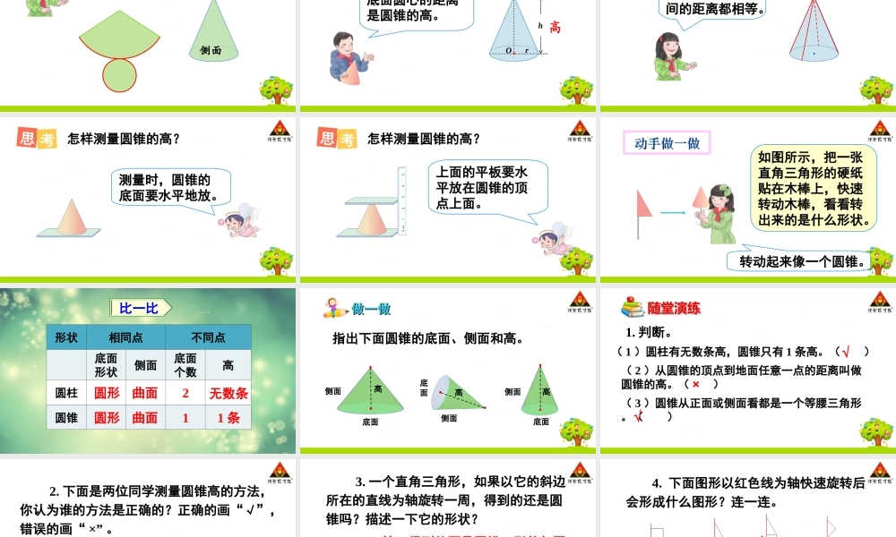 信息窗一(圆柱和圆锥的认识)