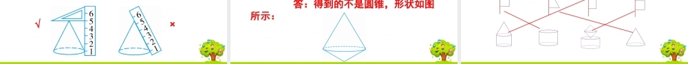信息窗一(圆柱和圆锥的认识)