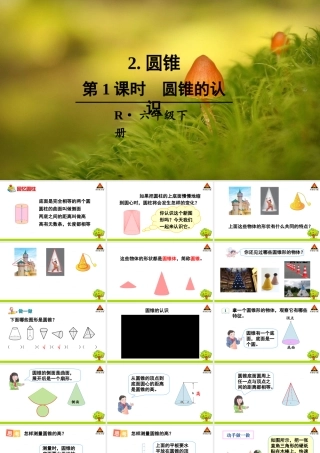 信息窗一(圆柱和圆锥的认识)