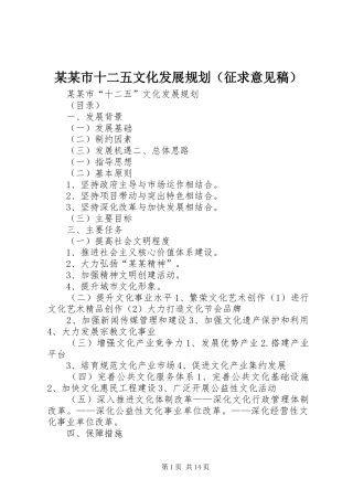 某某市十二五文化发展规划（征求意见稿）