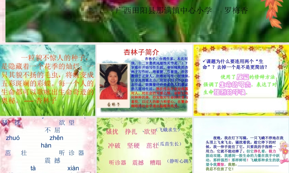 《生命生命》课件罗梅香