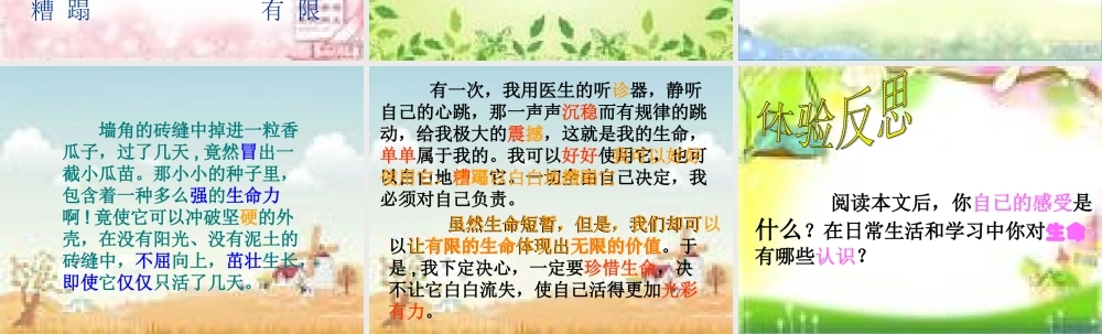 《生命生命》课件罗梅香