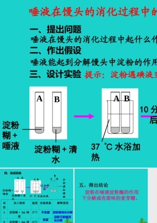 七年级生物下册 第二单元 第一章 第一节 食物在口腔中的消化 探究唾液在馒头的消化过程中的作用课件 冀少版 课件