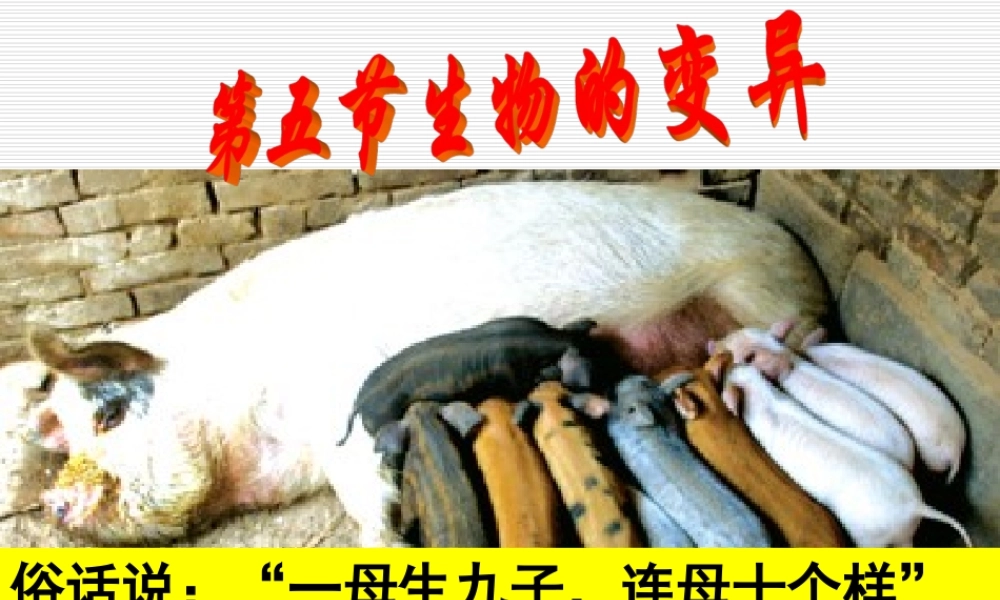 生物的变异课件人教版八年级下