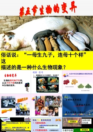 生物的变异课件人教版八年级下