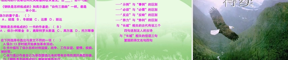 语文活动课实施方案2