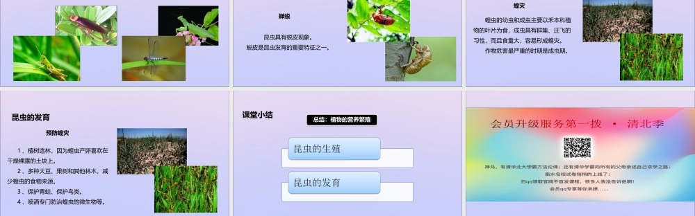 八年级生物上册 第四单元 物种的延续 第二章 动物的生殖和发育 第一节 昆虫的生殖和发育课件(新版)济南版 课件