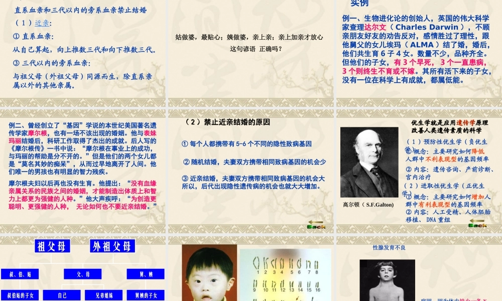 《人类遗传病》