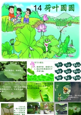 荷叶圆圆课件(恢复)