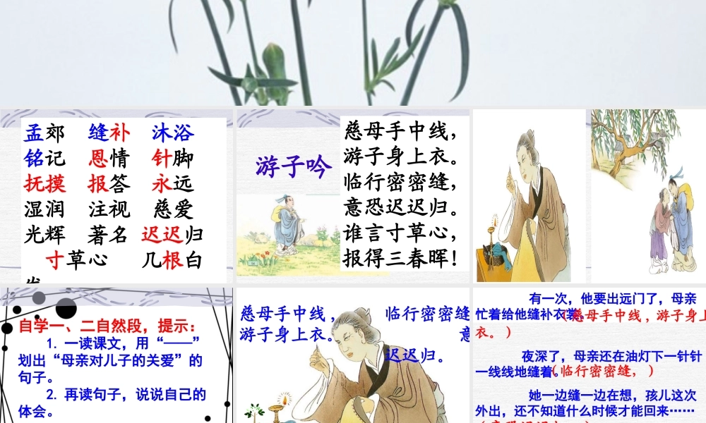 （苏教版）二年级语文下册课件母亲的恩情4