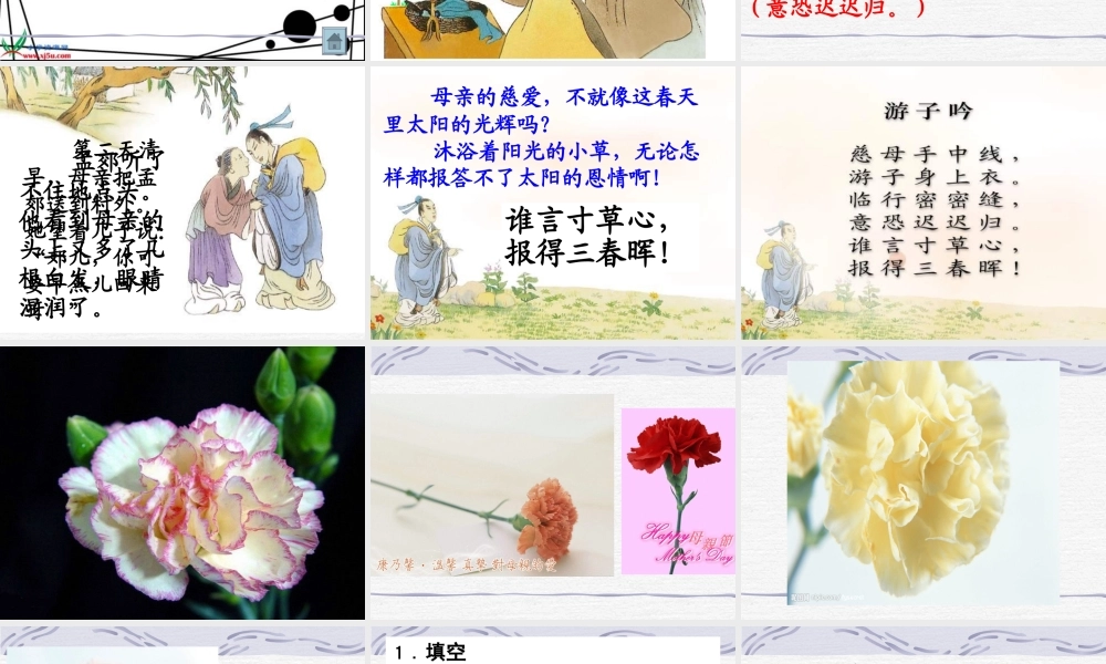 （苏教版）二年级语文下册课件母亲的恩情4