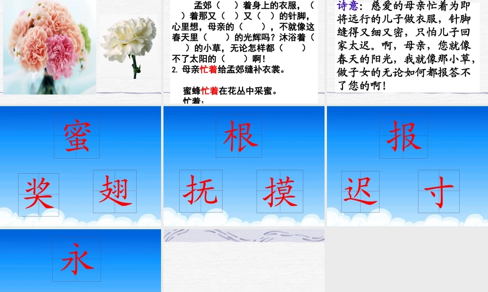 （苏教版）二年级语文下册课件母亲的恩情4