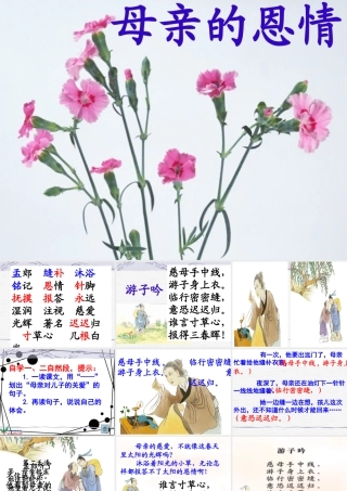 （苏教版）二年级语文下册课件母亲的恩情4
