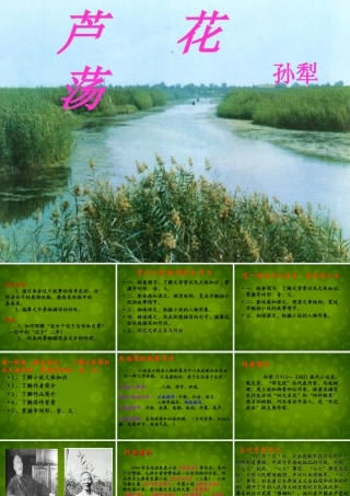 八年级语文上册 1.2 芦花荡课件 (新版)新人教版 课件