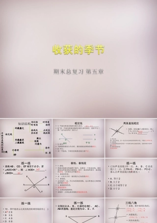 中学七年级数学下册 第五章 相交线与平行线复习课件 (新版)新人教版 课件