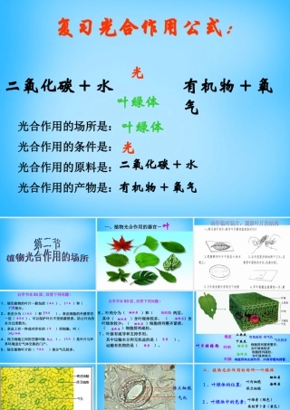 中学七年级生物上册 第6章 第2节 植物光合作用的场所课件1 苏教版 课件