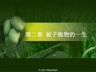 七年级生物上册 植株的生长课件(pdf) 新人教版 课件