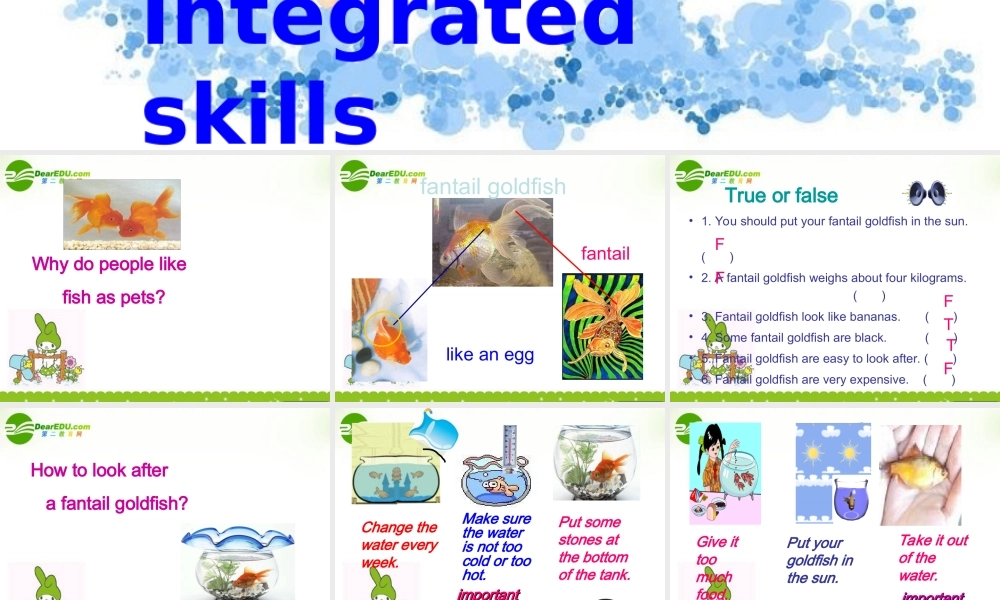 七年级英语下册：Unit 6 Pets Integrated skills课件(译林牛津版) 课件