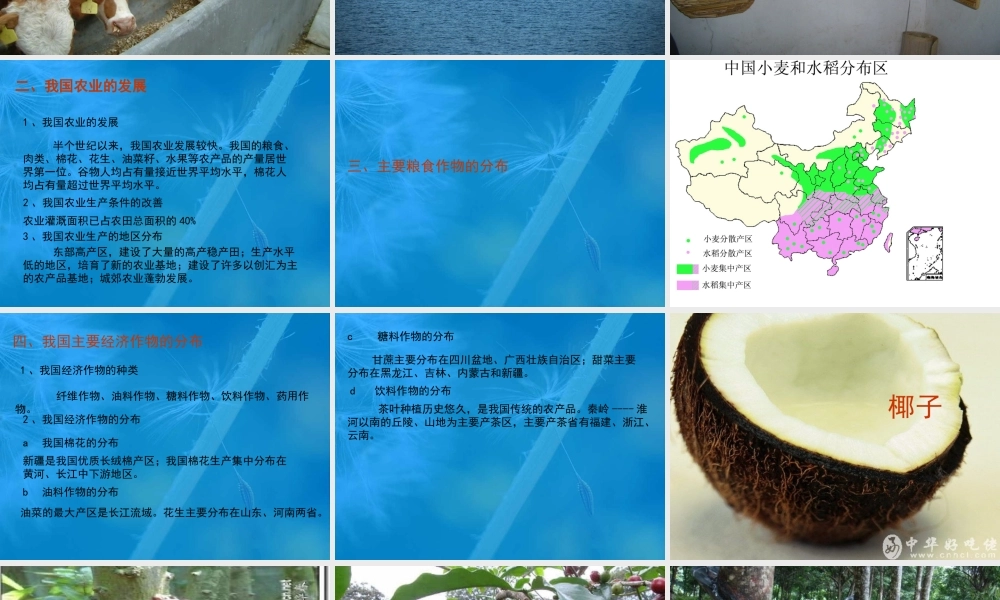 八年级地理下册：第一章第一节 农业(课件)湘教版 课件