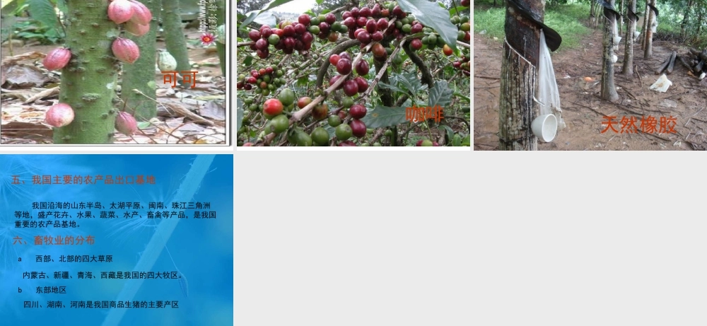 八年级地理下册：第一章第一节 农业(课件)湘教版 课件