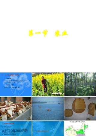 八年级地理下册：第一章第一节 农业(课件)湘教版 课件